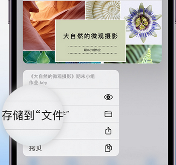 南宝镇apple维修中心分享iPhone文件应用中存储和找到下载文件