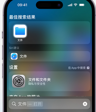 南宝镇apple维修中心分享iPhone文件应用中存储和找到下载文件 