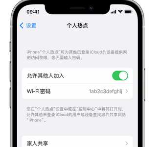 南宝镇apple服务站点分享iPhone上个人热点丢失了怎么办