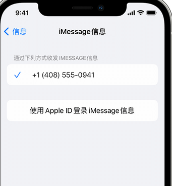 南宝镇apple维修iPhone上无法正常发送iMessage信息 