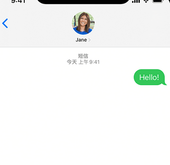 南宝镇apple维修iPhone上无法正常发送iMessage信息