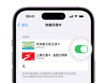 南宝镇apple维修点分享iPhone上更换Apple Pay快捷交通卡手绘卡面 