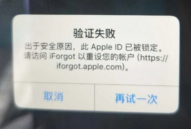 南宝镇iPhone维修分享iPhone上正常登录或使用AppleID怎么办 