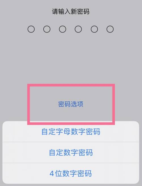 南宝镇苹果14维修分享iPhone 14plus设置密码的方法 