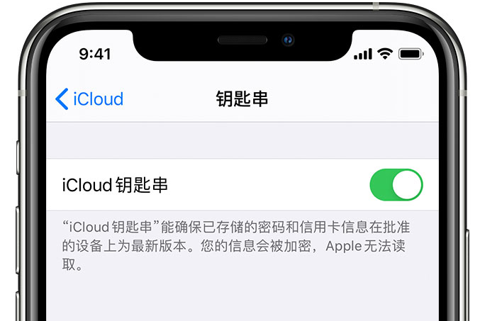 南宝镇苹果手机维修分享在 iPhone 上开启 iCloud 钥匙串之后会储存哪些信息 