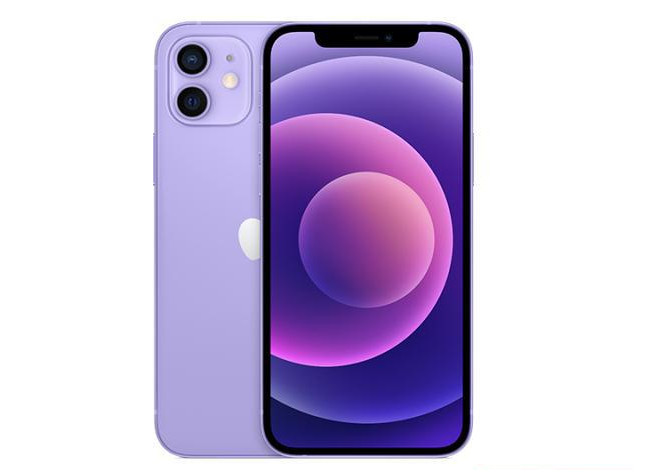 南宝镇苹果手机维修分享现阶段要不要入手紫色版iPhone12 
