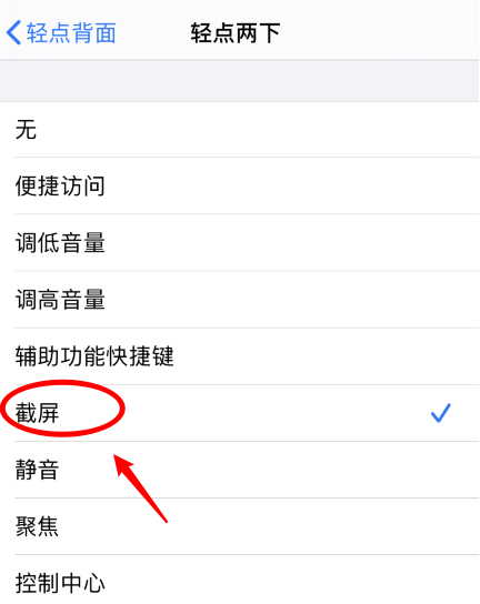 南宝镇苹果手机维修分享iPhone12如何启用双击截屏 